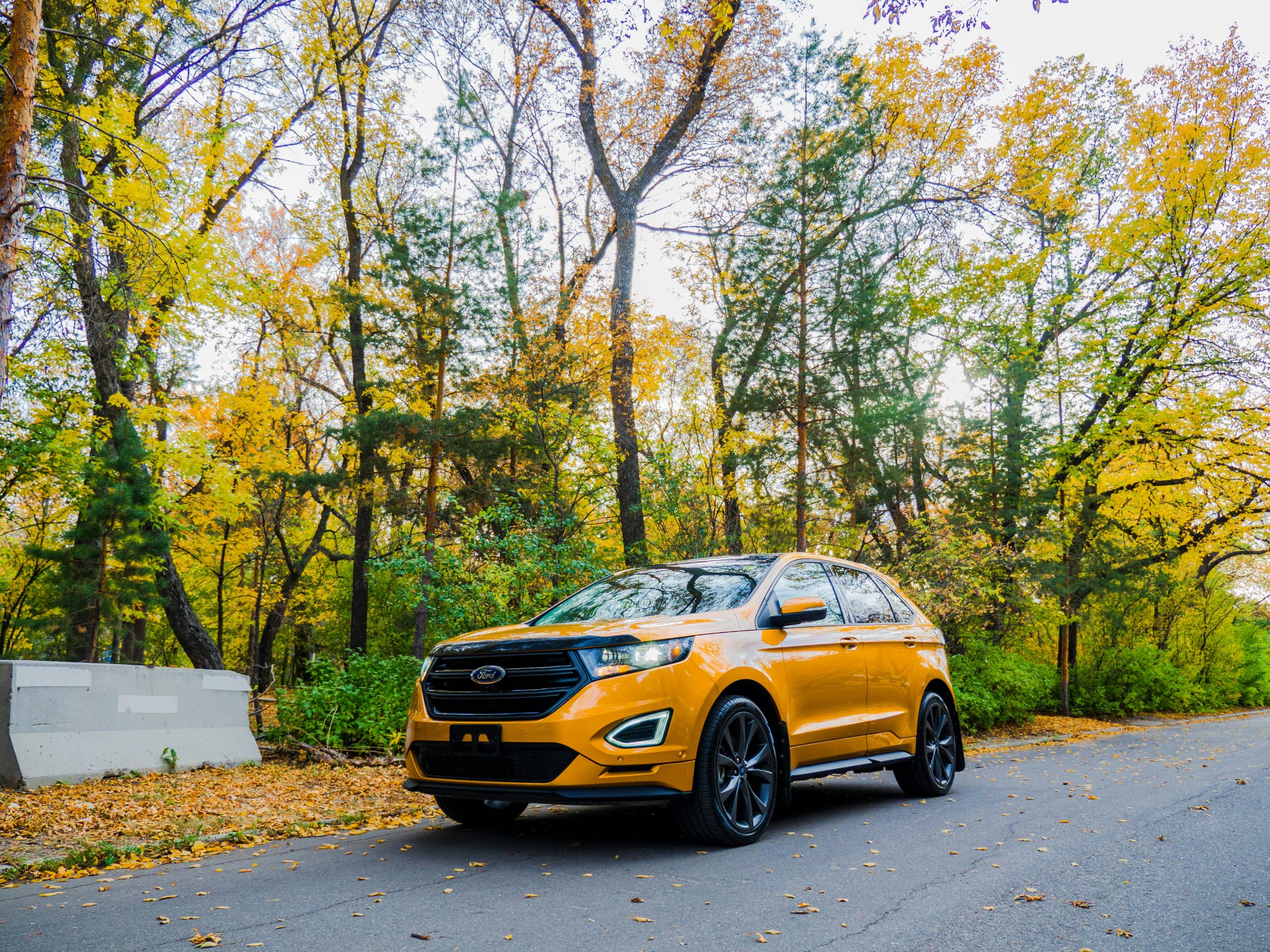 2016 Ford Edge parked on road surrounded by trees
