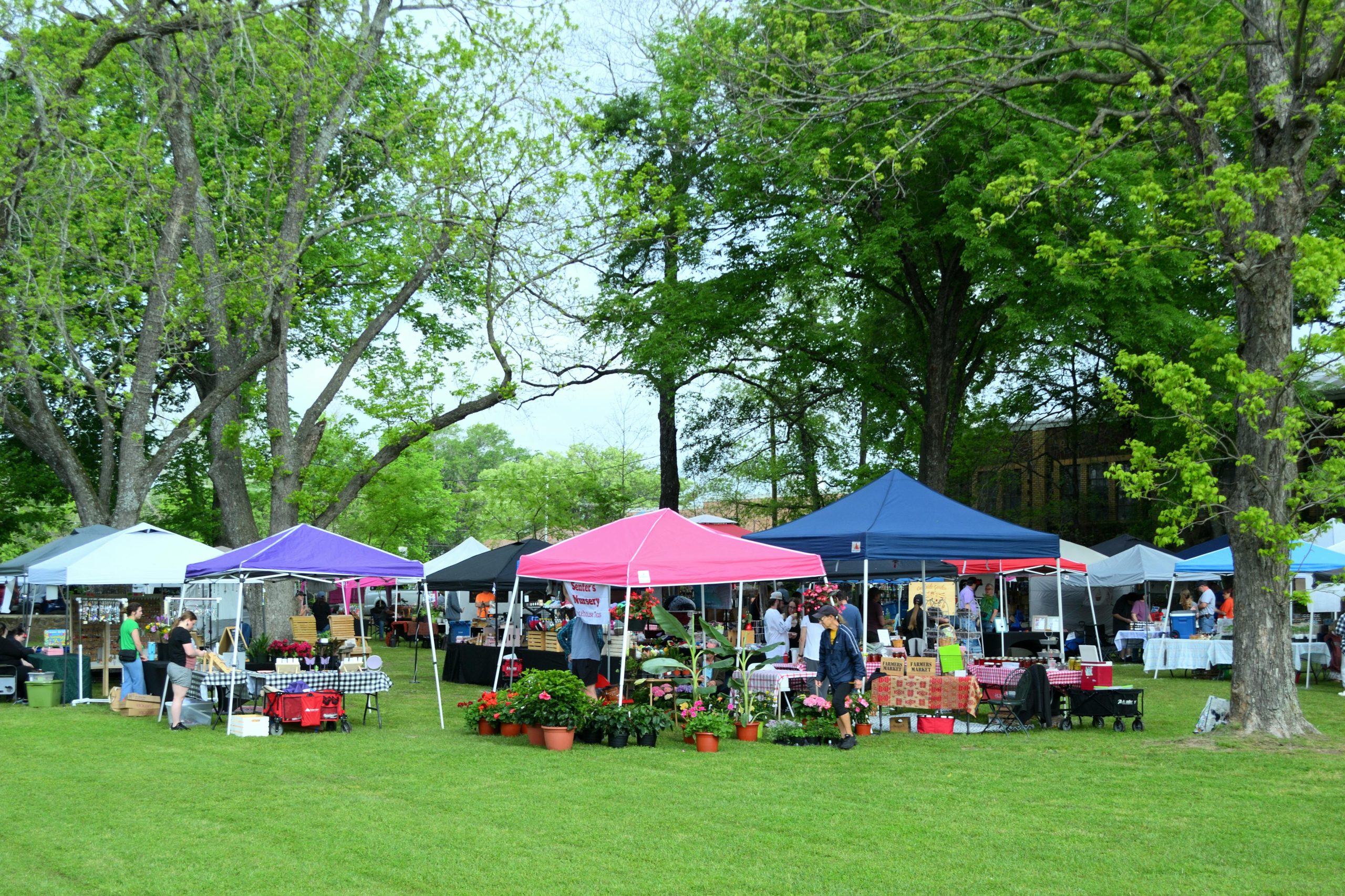 Vibrant Outdoor Market in Whitehouse, Texas