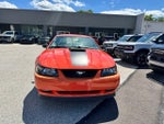 2004 Ford Mustang Premium Mach 1