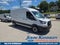 2026 Ford Transit Cargo Van T-250 148 Med Rf 9150 GVWR RWD
