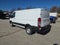 2026 Ford Transit Cargo Van T-250 130 Low Rf 9150 GVWR RWD