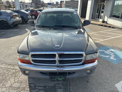 2004 Dodge Dakota SLT