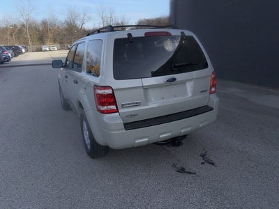 2008 Ford Escape XLT